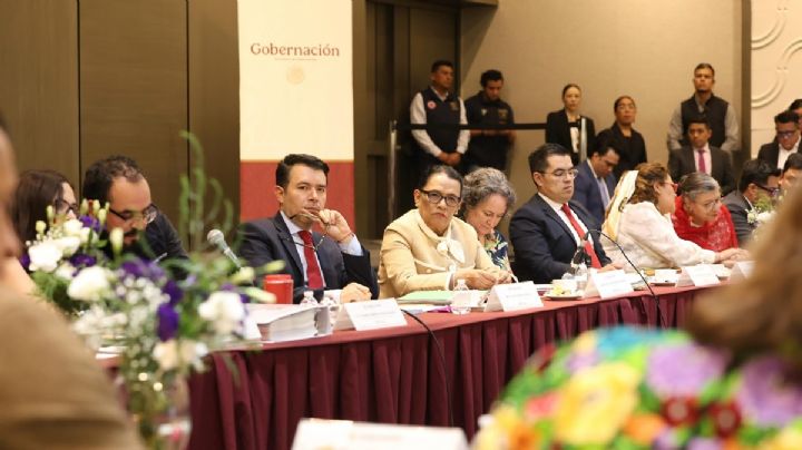 Segob llama a estados a garantizar la libertad de expresión