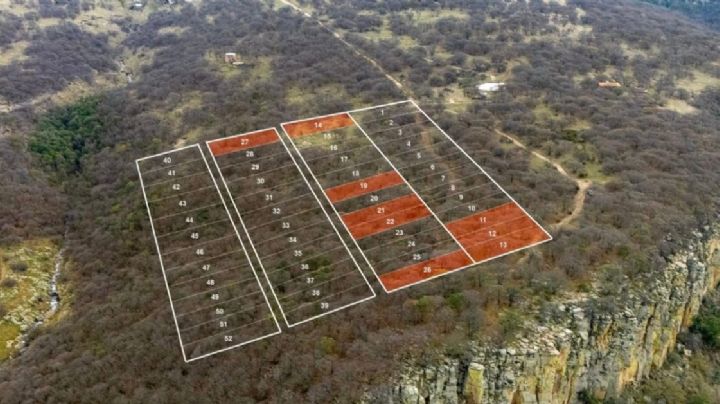 Constructoras depredan la Sierra de Lobos y venden terrenos en el bosque