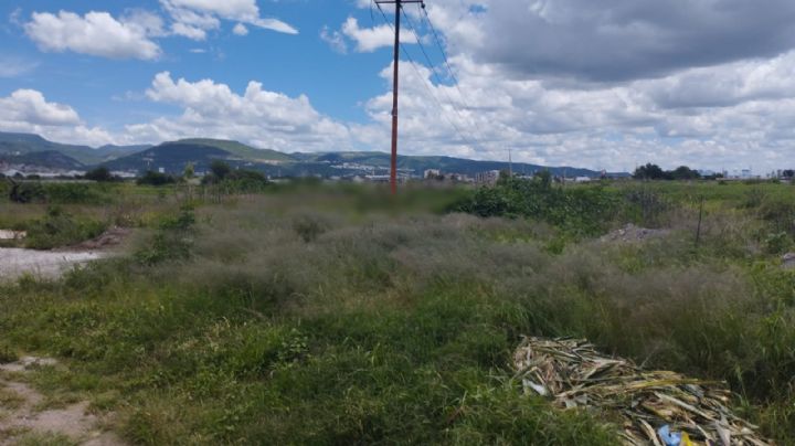 Súper prepa de León; ¿Cuándo estará construida?