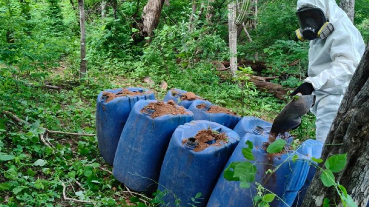 Operativos en Sinaloa: 10 detenidos y aseguran precursores para más de 368 mil dosis de metanfetamina