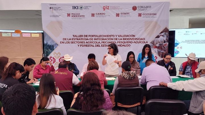 Hidalgo alista estrategia para integrar biodiversidad en sectores agrícola y forestal