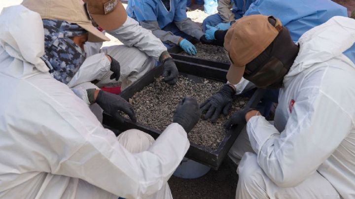 Desaparecidos de Aguascalientes, hallados en campo de entrenamiento del CJNG