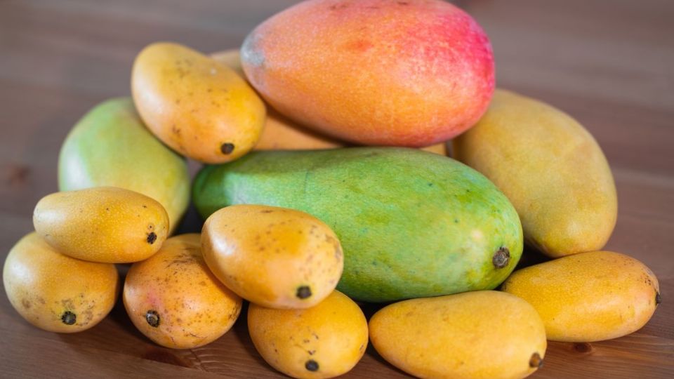 5 curiosidades que no sabías