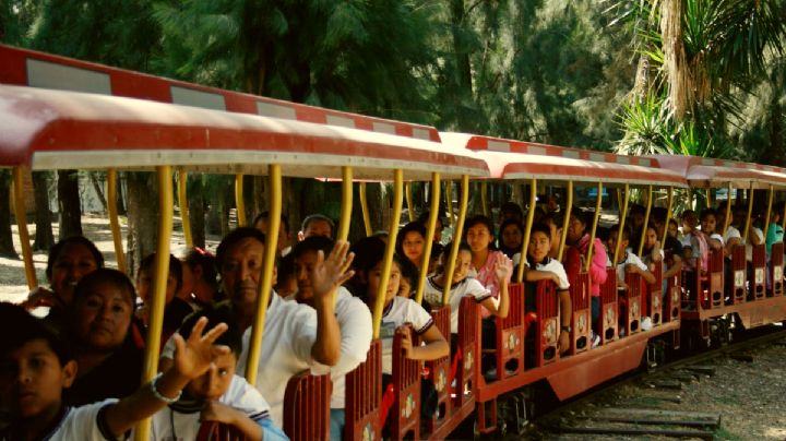 ¿Recuerdas el trenecito que pasaba por la zona boscosa del Parque Metropolitano?