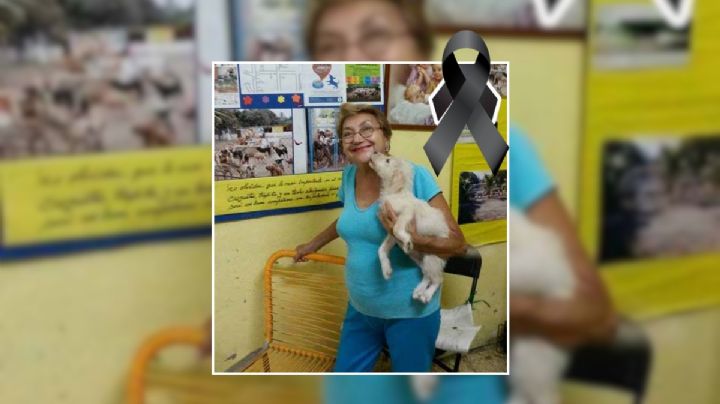 Muere Norma Cortina, fundadora de albergue La Roca, y deja legado de protección animal en el puerto de Veracruz