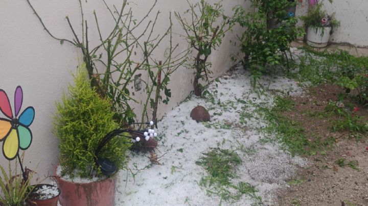 Azota granizada el sur de León