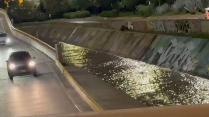 Lluvias: La presa del Palote llega al 60 por ciento; así corre el agua en Malecón del Río