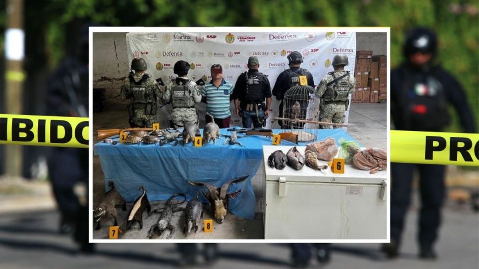 ??Hombre acusado de homicidio es detenido en Tierra Blanca con animales disecados