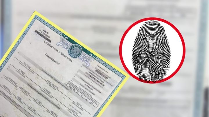 CURP biométrica: ¿el acta de nacimiento también va a cambiar en México?