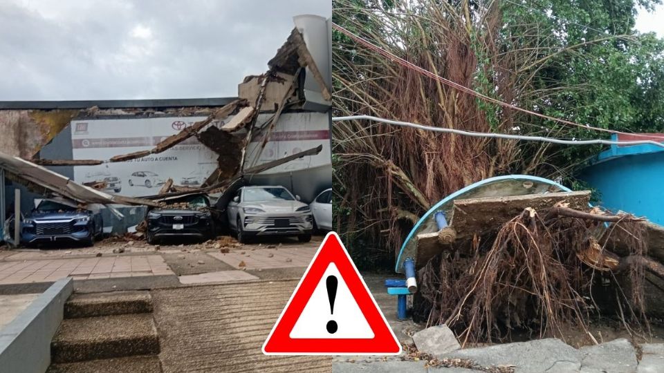 Carros aplastados y árboles caídos; las afectaciones en Coatzacoalcos tras fuertes lluvias