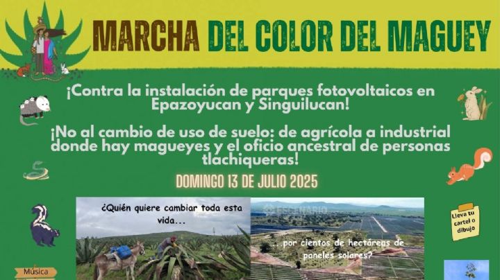 Este domingo, marcha contra la instalación de un parque fotovoltaico en Epazoyucan