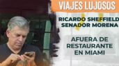 Foto ilustrativa de la nota titulada: Viajes lujosos: Ahora exhiben a Sheffield en un restaurant de lujo de Miami