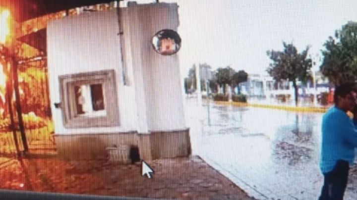 Cae rayo en árbol del periódico AM