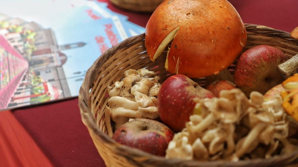 Hace nueve años que la UAEH y el municipio organizan la Feria de la Manzana y el Hongo