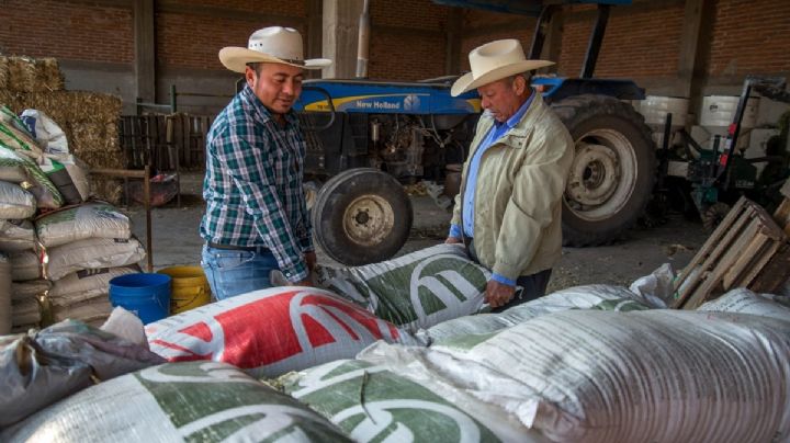 Programa social abre convocatoria: ¿cómo registrarte a Fertilizantes del Bienestar?
