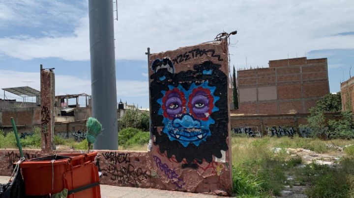 Predios abandonados en el centro de León son nidos de “ratas” y dan mala imagen a la ciudad