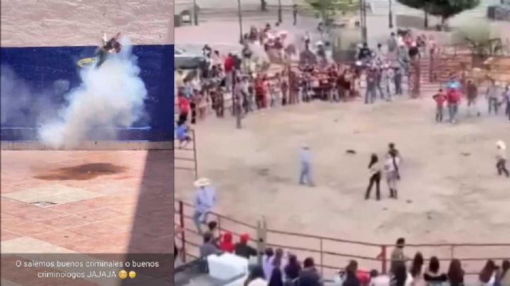 Municipios deben penalizar el maltrato animal; van dos casos de pirotecnia en gatos en dos meses