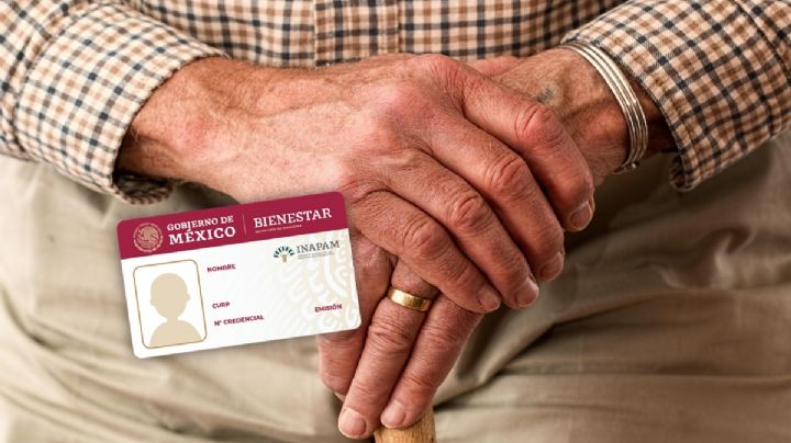 Tarjeta INAPAM: ¿se debe renovar en agosto?