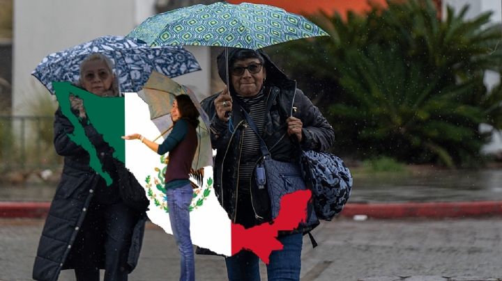 Tormenta tropical Erin: en esta fecha será huracán, ruta y estados afectados