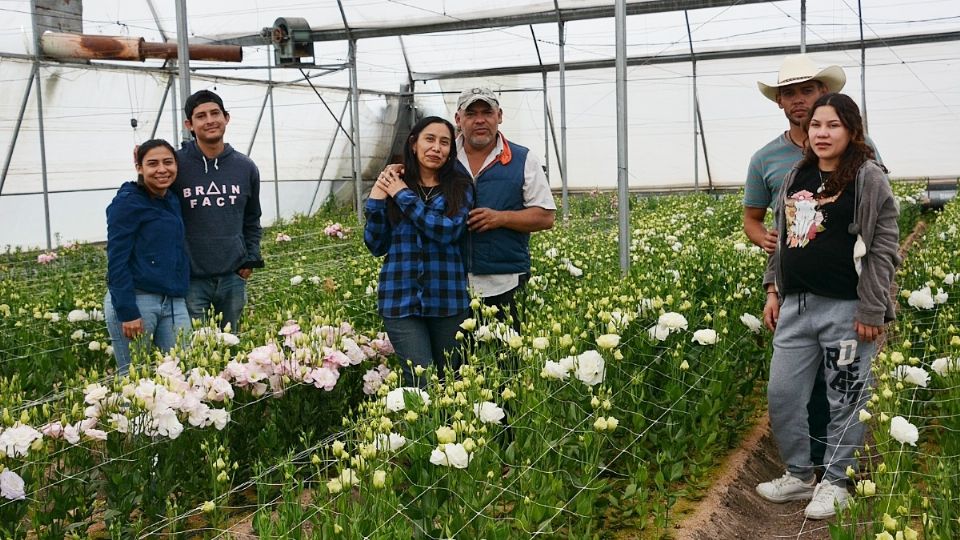 Prevén generar más empleos en el futuro