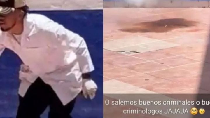 Fiscalía de Guanajuato ya investiga el caso del gato asesinado en Pénjamo