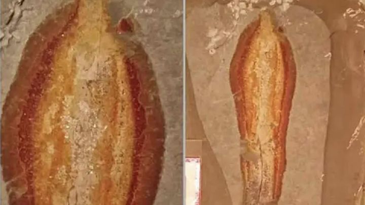 Vecinos veneran piedra con “aparición” de la Virgen en Chenalhó