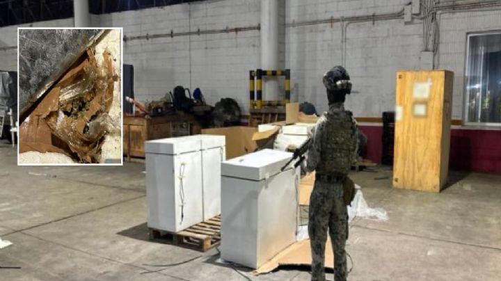 Aseguran refrigerador con droga en puerto de Veracruz; iba a República Dominicana