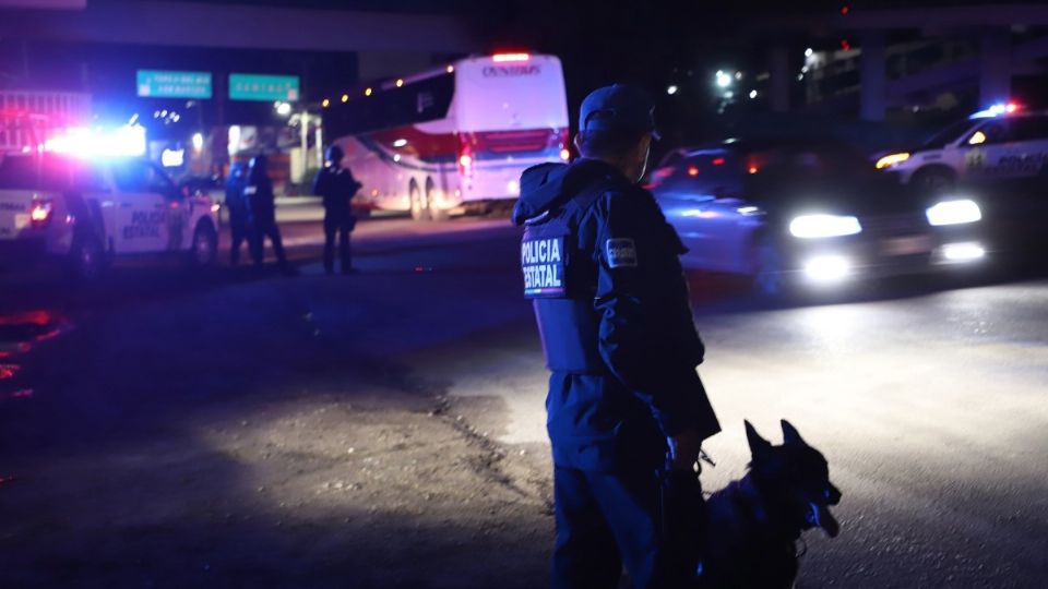 Estos patrullajes, efectuados las 24 horas del día, buscan garantizar una respuesta oportuna ante posibles incidencias