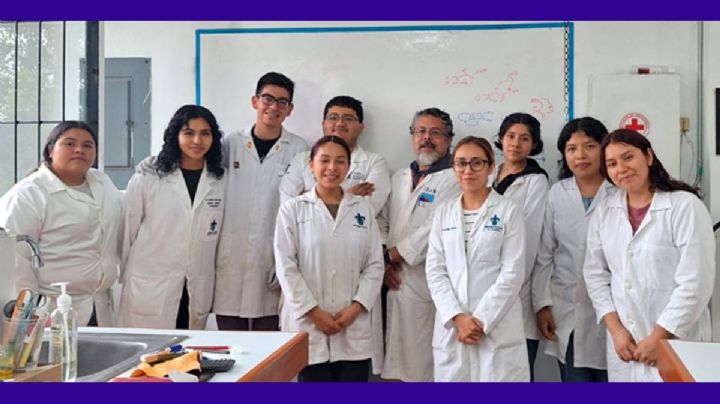 Investigador UV desarrolla compuestos metálicos con potencial terapéutico