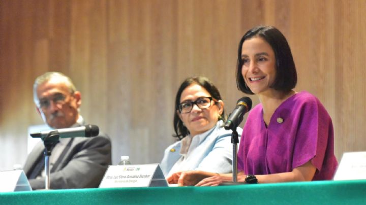 Entre 2018 y 2024, 184 mil nuevos hogares tuvieron acceso a energía: Sener