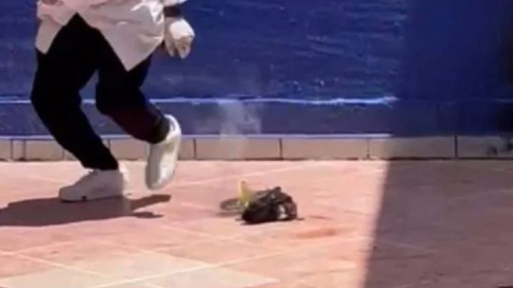 Esto dijo EDUCEM sobre sus estudiantes que cometieron maltrato animal