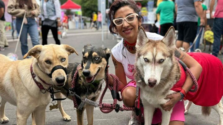 ¿Maltratadora de animales o una mamá perro en problemas por su hija pastor belga?