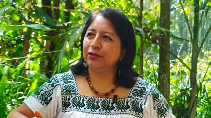 TEV ratifica a Rosalba Hernández como presidenta electa del Tribunal Superior de Justicia