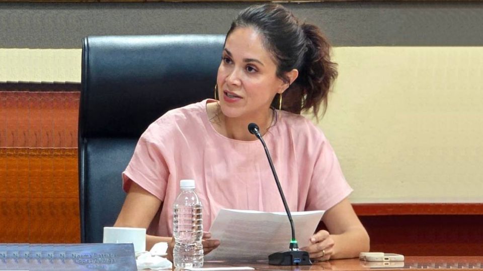 La regidora de Movimiento Ciudadano, Dessire Ángel, pidió hacer una reforma al Código Reglamentario de Desarrollo Urbano para garantizar accesibilidad para personas con discapacidad en fraccionamientos con caseta controlada.