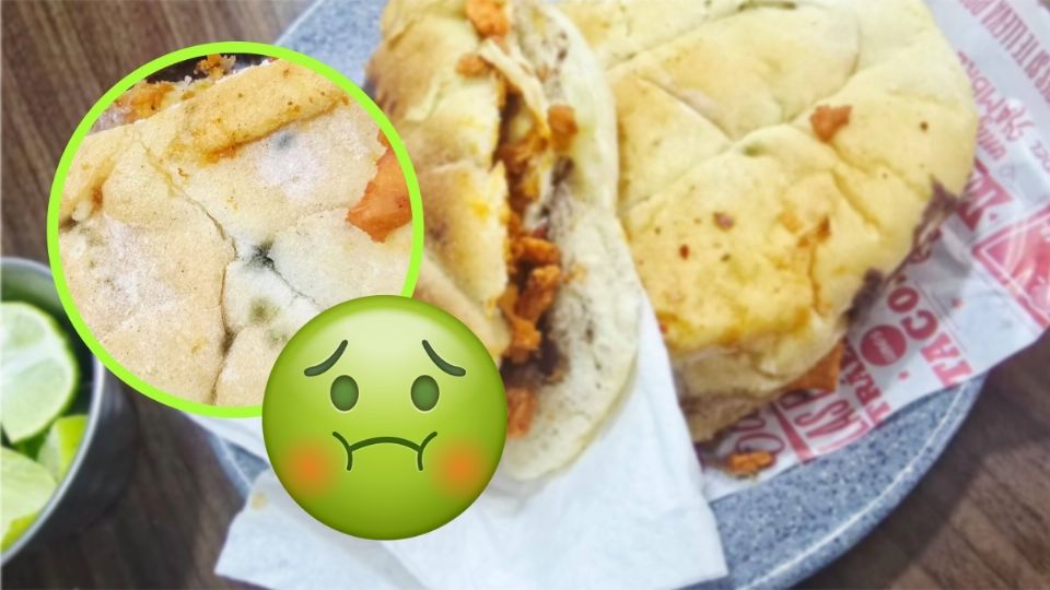 El pan estaba lleno de moho, señal de que ya estaba echado a perder