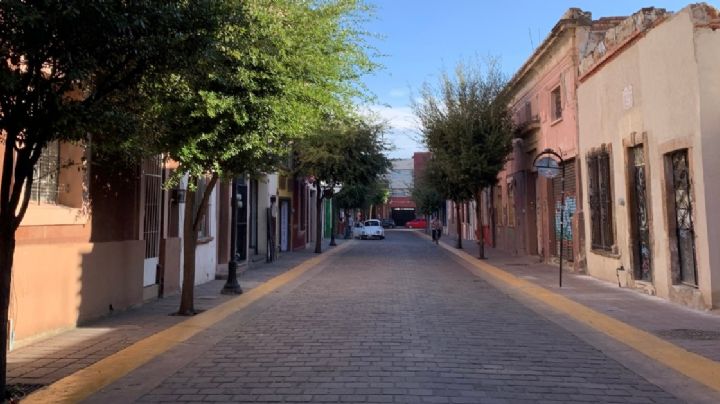 Los árboles embellecieron esta calle del Centro de León