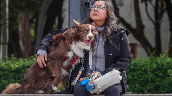 ¿Con quién se queda el perro?” Esto se sabe de nueva ley de custodia para mascotas