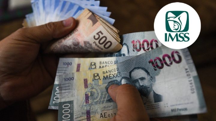 ¿No alcanzaste la Modalidad 40 del IMSS? esta es la alternativa oficial para lograr una pensión sólida