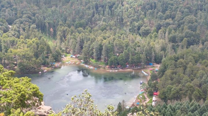 Inicia programa de recuperación forestal en el Parque Nacional El Chico