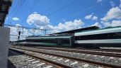 Foto ilustrativa de la nota titulada: Investigación de Conacyt advirtió de efectos nocivos del Tren Maya