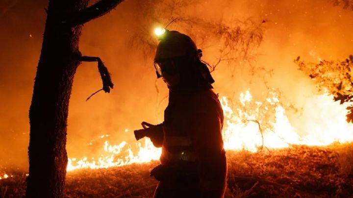 Crisis de incendios en España: fuego consume casi 400,000 hectáreas