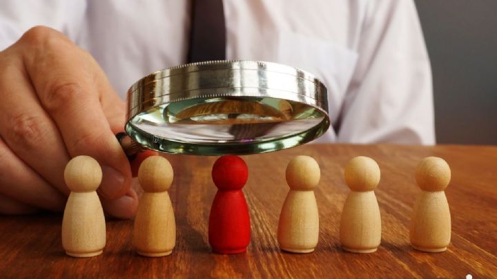 ¿Qué pasa con los órganos internos de control?