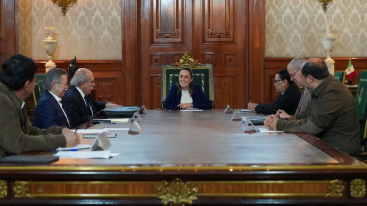 La reforma electoral: forma y fondo