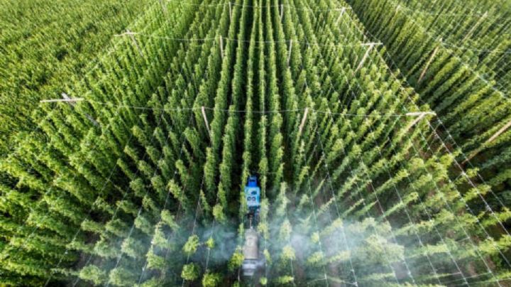 México invertirá 63,000 millones de pesos para modernizar riego y ahorrar agua entre 2025 y 2030