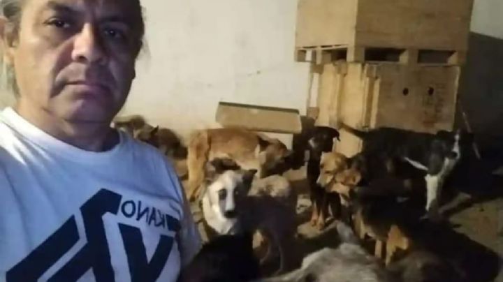 Descubren matadero de perros en Sonora: rescatan a 53 animales vivos