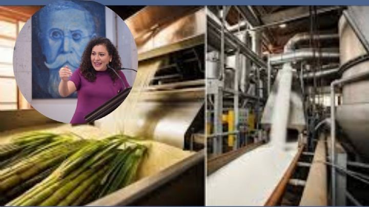 Pide diputada Ana Rosa Valdés apoyo a productores de azúcar