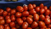 Foto ilustrativa de la nota titulada: ¿Por aranceles? el jitomate baja su precio en México, aseguran que no está entrando a EU