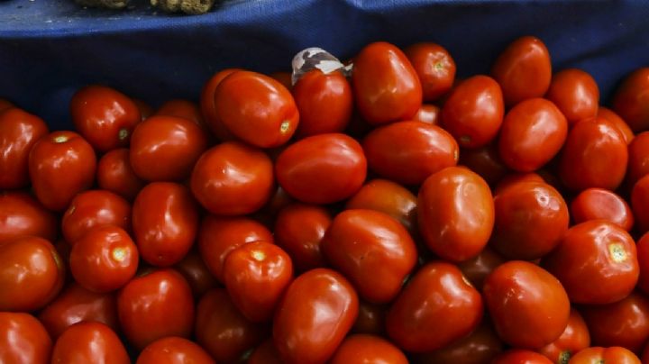 ¿Por aranceles? el jitomate baja su precio en México, aseguran que no está entrando a EU