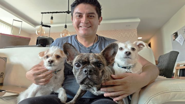 “Me divorcié y mi ex me quitó a mi perrita”; hacia el fin de pleitos por animales de compañía