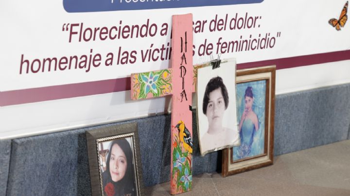 “Floreciendo a pesar del dolor": el libro que documenta cómo el caso Mariana Lima transformó la justicia contra el feminicidio en México